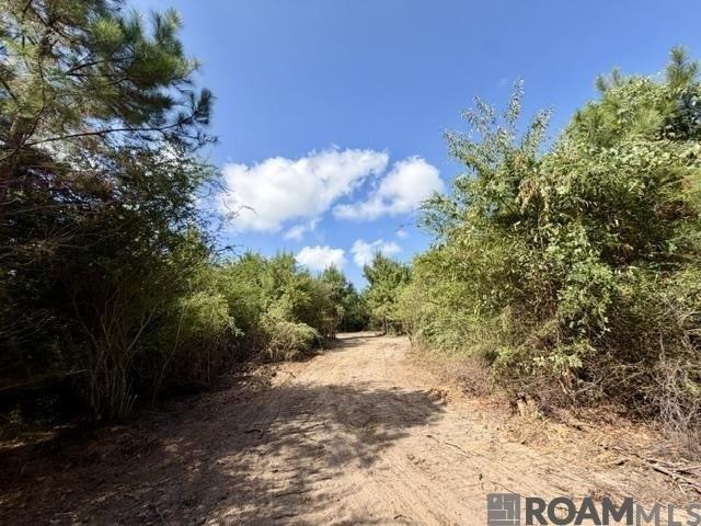 Land for sale in Franklinton, Louisiana