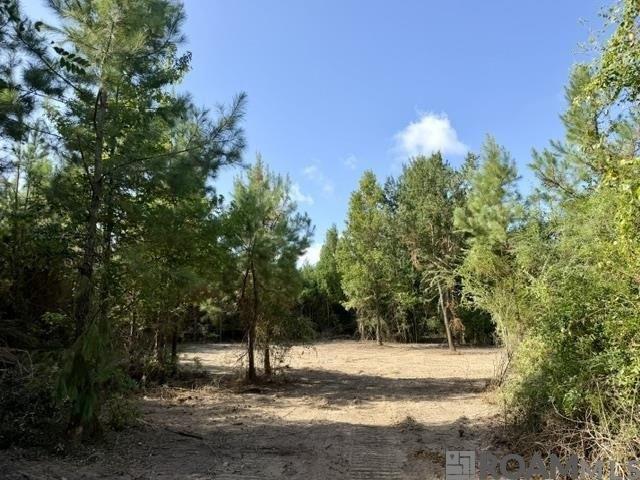 Land for sale in Franklinton, Washington Parish