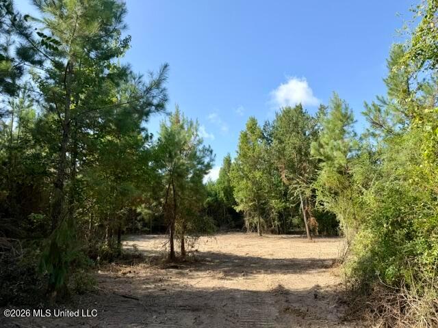Land for sale in Franklinton, Washington Parish