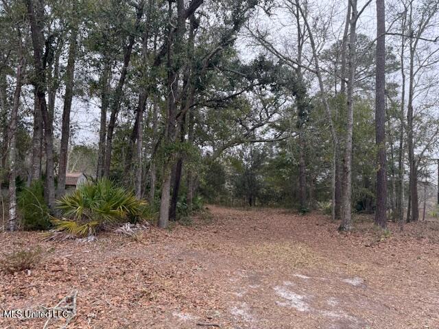 Land for sale in Gautier, Mississippi