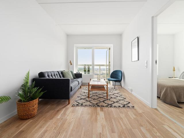 Hus til leje i København, Københavns Kommune