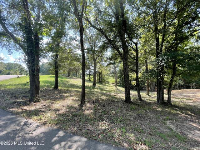 Land for sale in Wesson, Mississippi