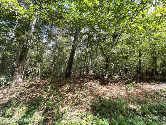 Land for sale in Wesson, Mississippi