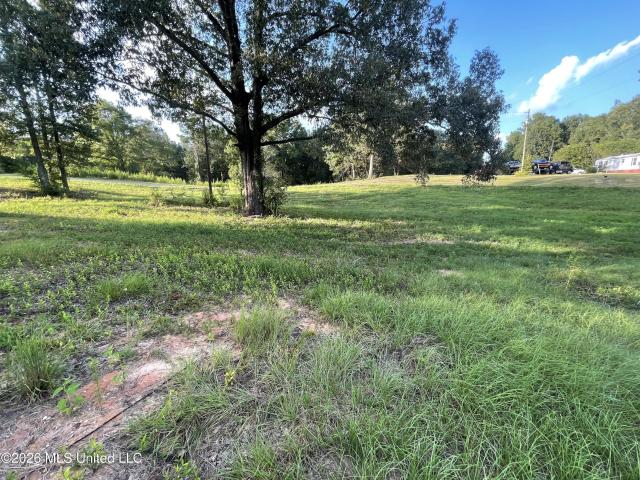 Land for sale in Wesson, Copiah County