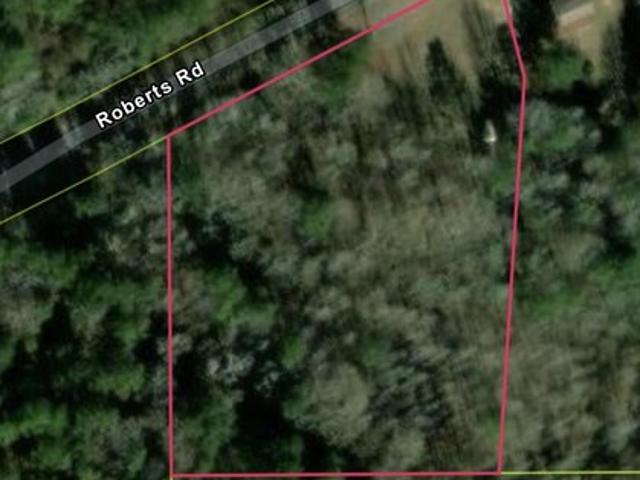 Land for sale in Carthage, Leake County