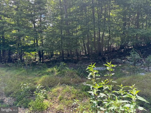 Land for sale in West Virginia