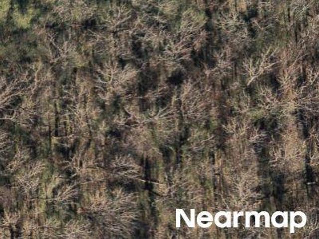 Land for sale in Mississippi