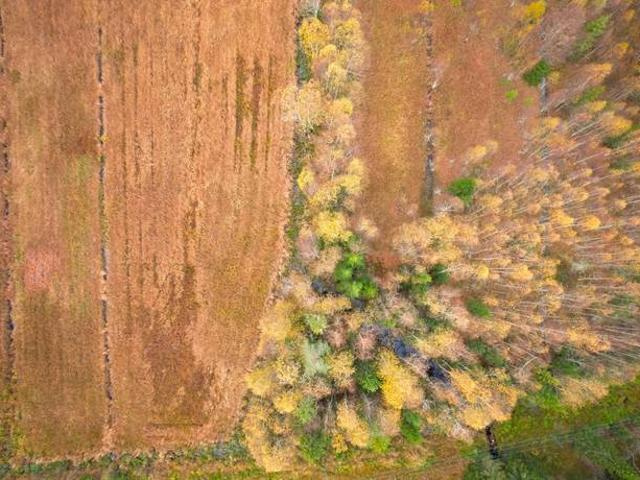 Bostad till salu i Robertsfors, Västerbotten