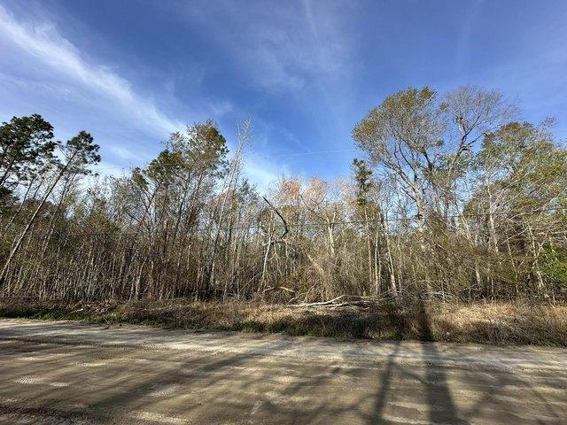 Land for sale in Swainsboro, Georgia