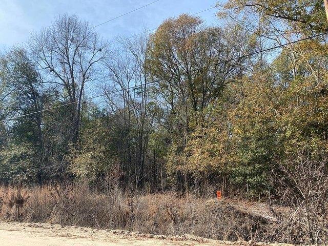 Land for sale in Swainsboro, Georgia