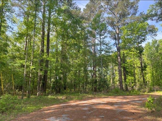 Land for sale in Bamberg, South Carolina