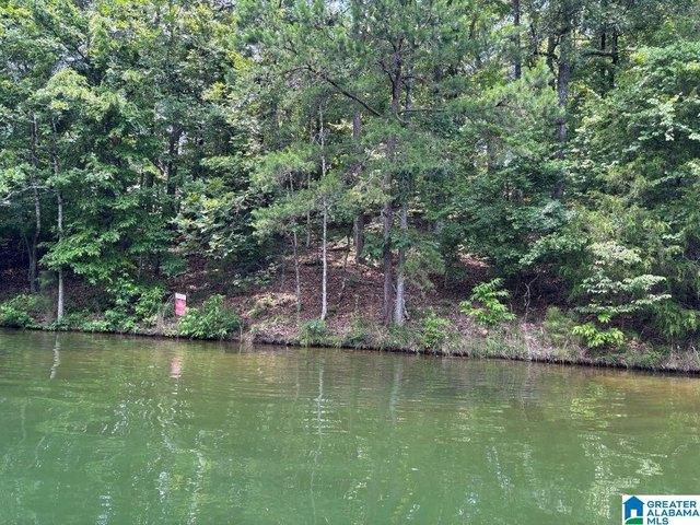 Land for sale in Wedowee, Alabama