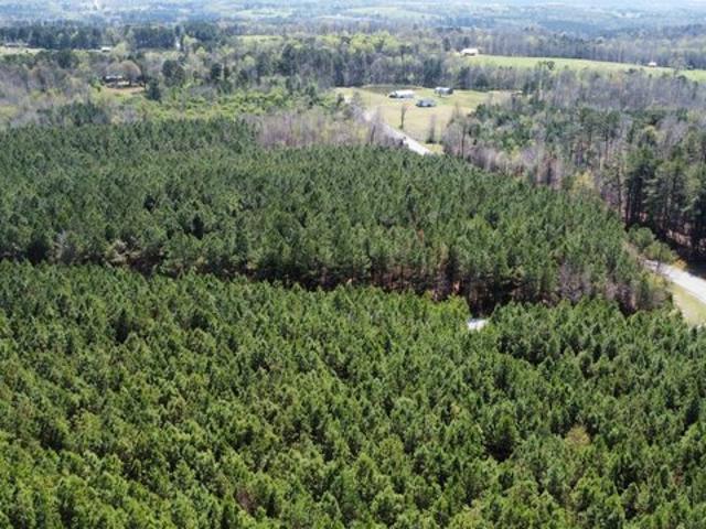 Land for sale in Blount, Alabama