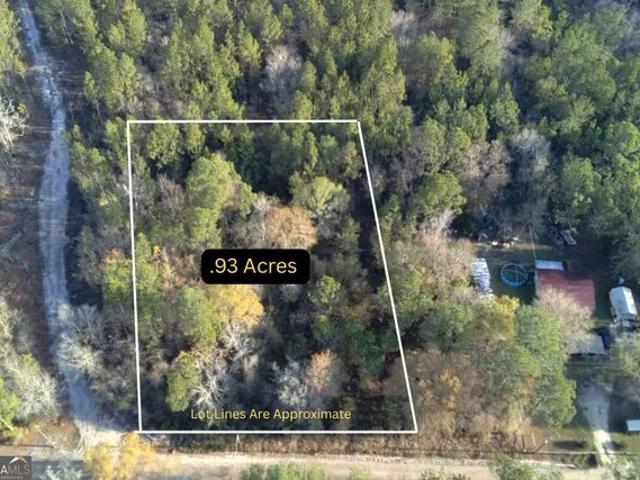 Land for sale in Nahunta, Georgia