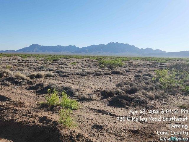 Land for sale in Luna, New Mexico