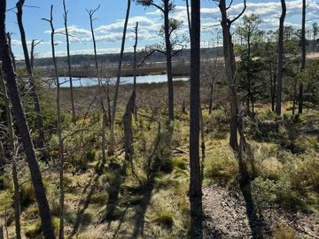 Land for sale in Dorchester, Maryland