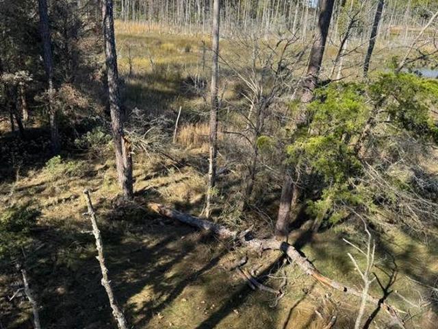 Land for sale in Dorchester, Maryland