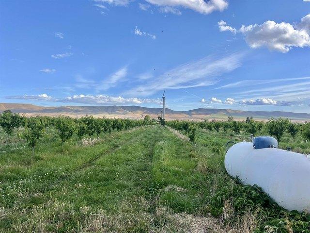 Land for sale in Grandview, Washington