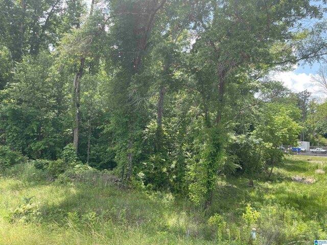 Land for sale in Alexander City