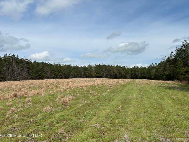Land for sale in Winona, Mississippi