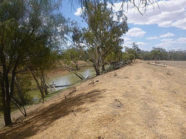 Land for sale in Lake Cargelligo, New South Wales