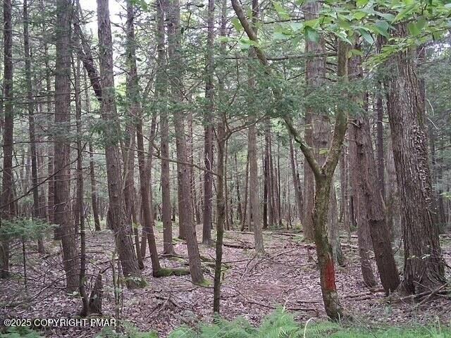 Land for sale in Pocono Lake
