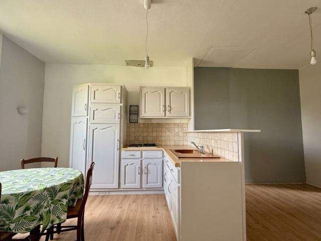Appartement vente à Saint-Étienne, Roche-la-molière