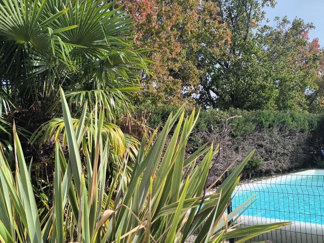 Maison vente à Rochefort