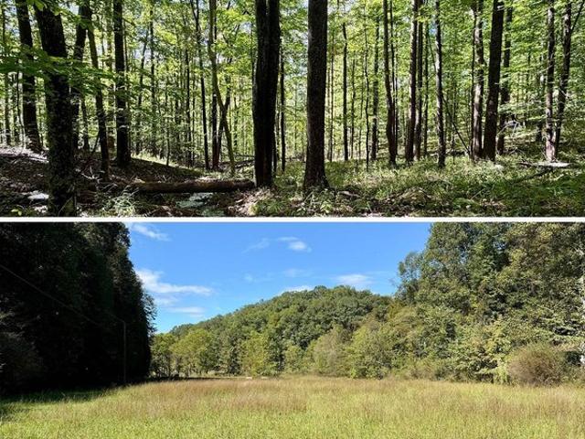 Land for sale in Crawford, Lewis County