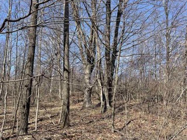 Land for sale in Clare, Michigan