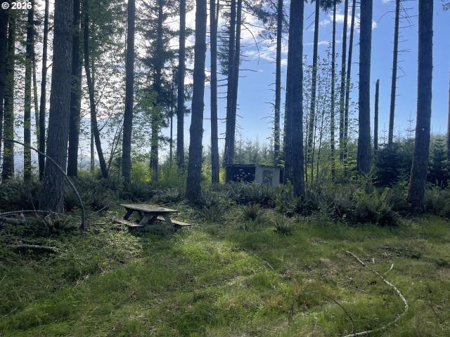 Land for sale in Oregonia