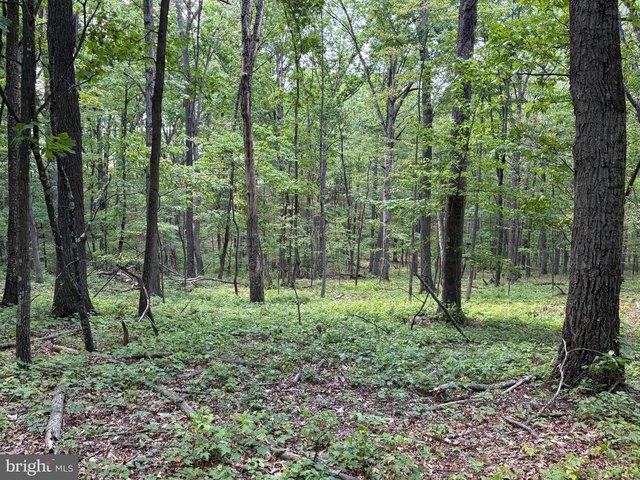 Land for sale in West Virginia