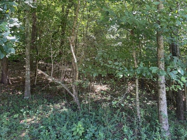 Land for sale in Tennessee