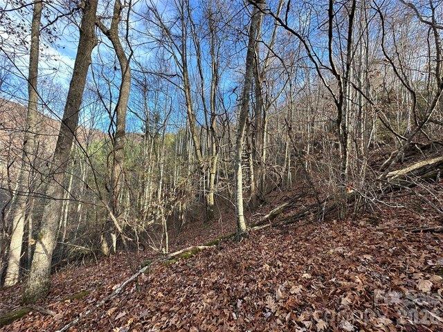 Land for sale in Haywood, North Carolina
