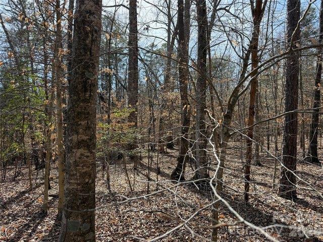 Land for sale in Blacksburg, South Carolina