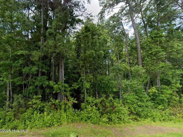 Land for sale in Ahoskie Land for sale in Ahoskie