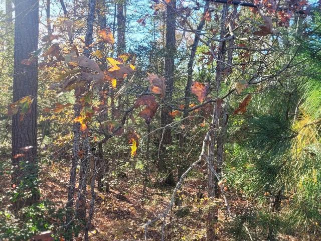 Land for sale in Newburg, Maryland