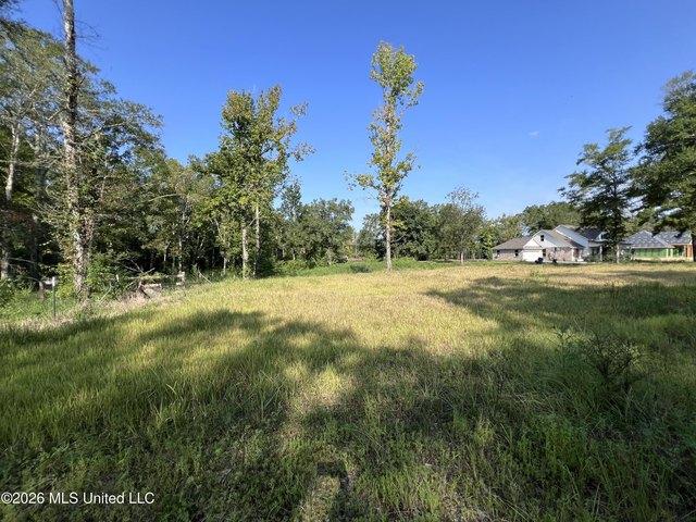 Land for sale in Carriere, Mississippi