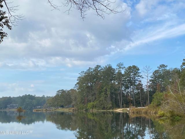Land for sale in Picayune, Mississippi