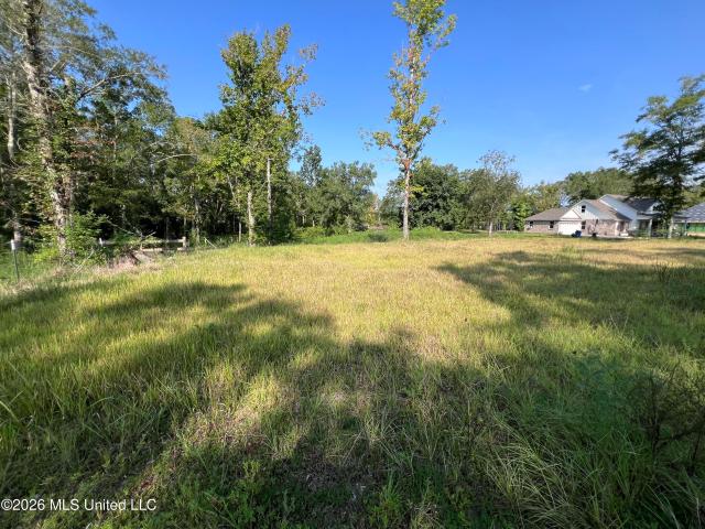 Land for sale in Carriere, Mississippi