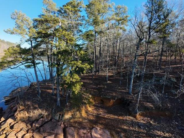 Land for sale in Arley, Alabama