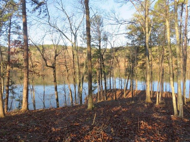 Land for sale in Arley, Alabama
