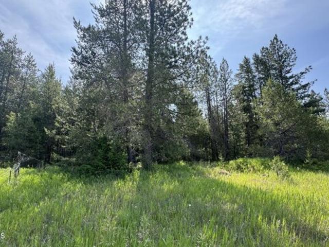Land for sale in Athol, Idaho