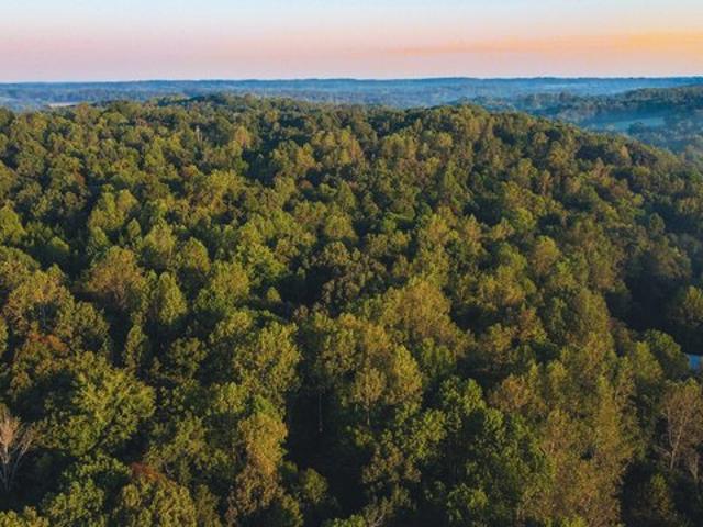 Farm for sale in Cumberland Furnace, Middle Tennessee