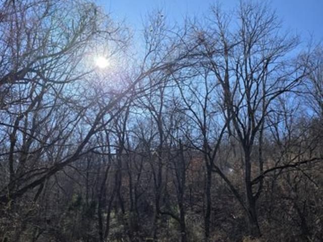 Farm for sale in Tennessee