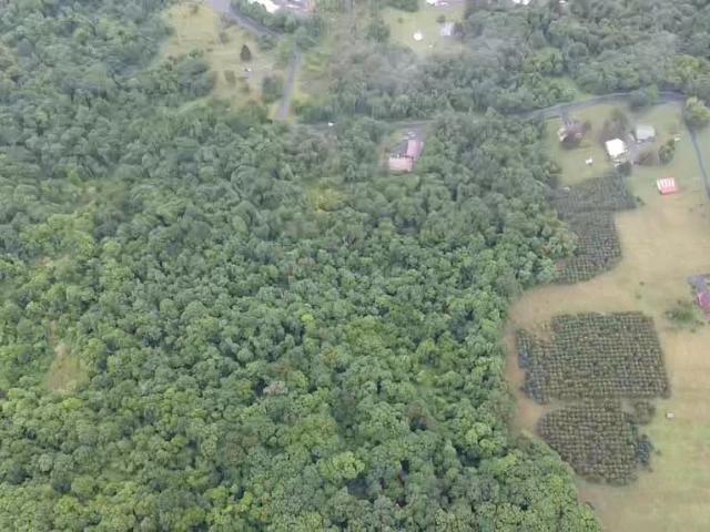 Land for sale in Westernport, Allegany County