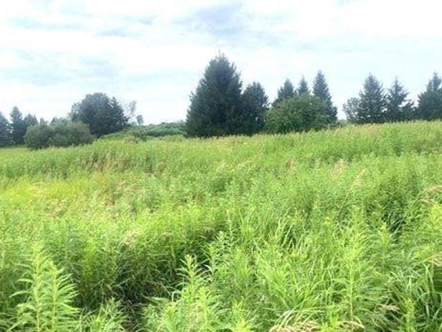 Land for sale in New York