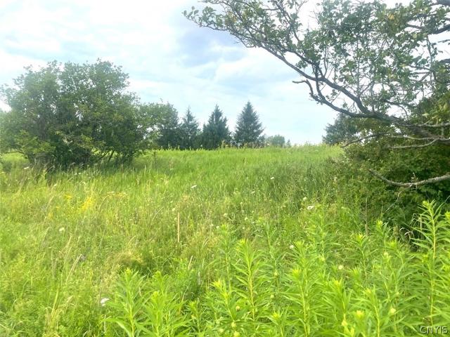 Land for sale in New York