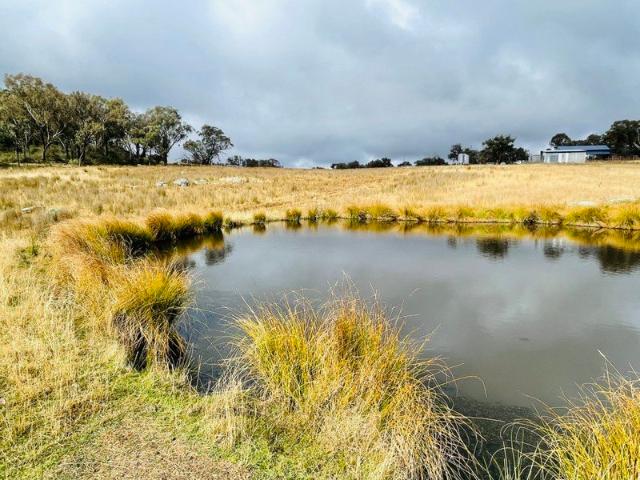 Cottage for sale in Halls Creek, New South Wales