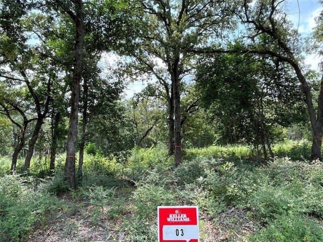 Land for sale in Milam, Texas